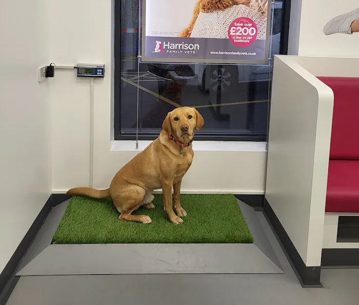 Harrison Family Vets, Doncaster Picture 1