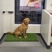 Harrison Family Vets, Doncaster ico