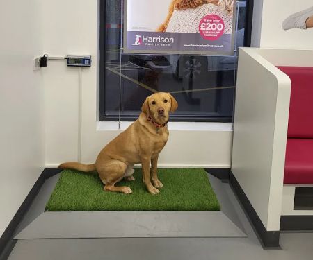 Harrison Family Vets, Doncaster