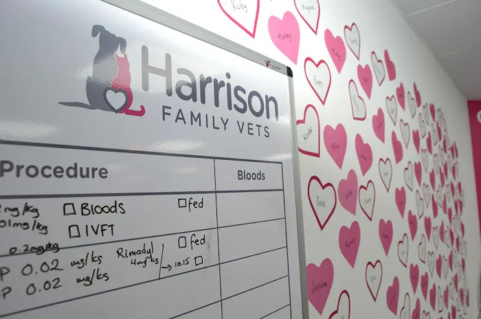 Harrison Family Vets, Doncaster Picture 9
