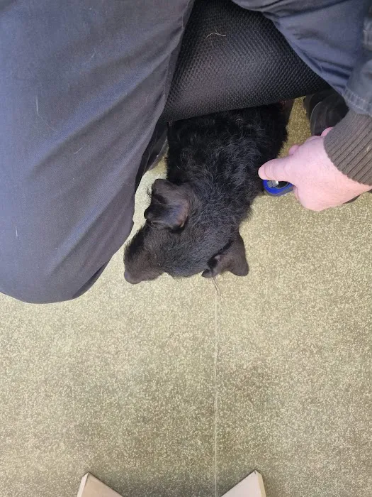 Ashcroft Veterinary Surgery Picture 2