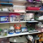 Pet shop