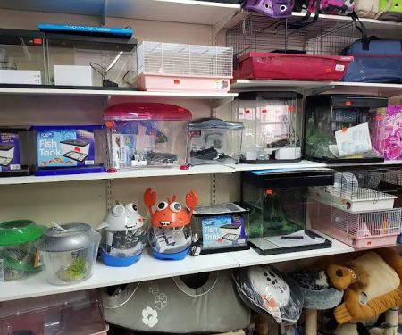 Pet shop