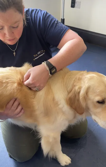 The K9 Chiro Picture 1