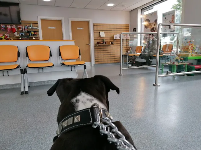 The Pet Vet Picture 5