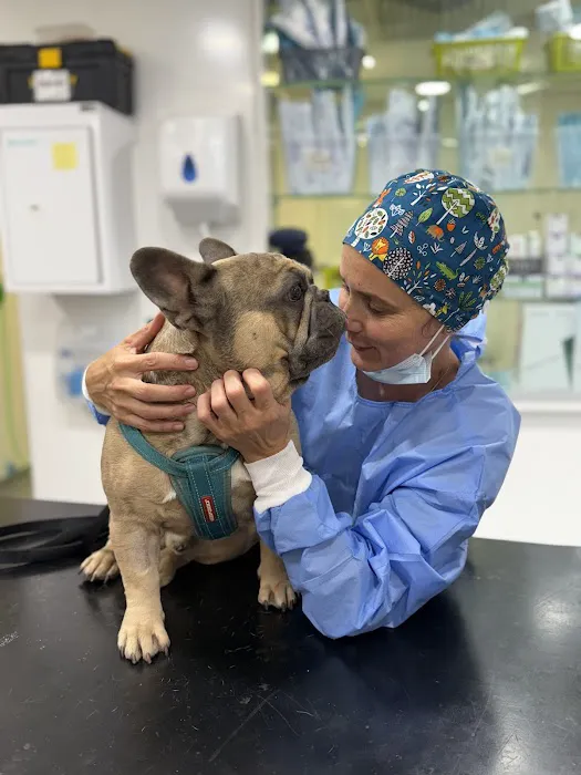 The Pet Vet Picture 10