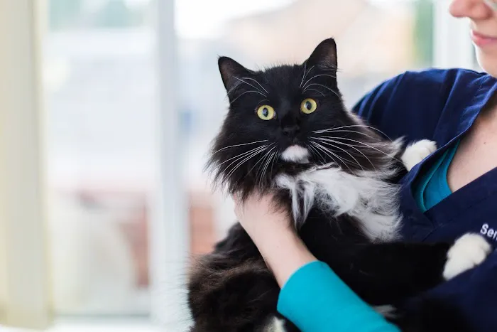 White Cross Vets Balby Picture 10