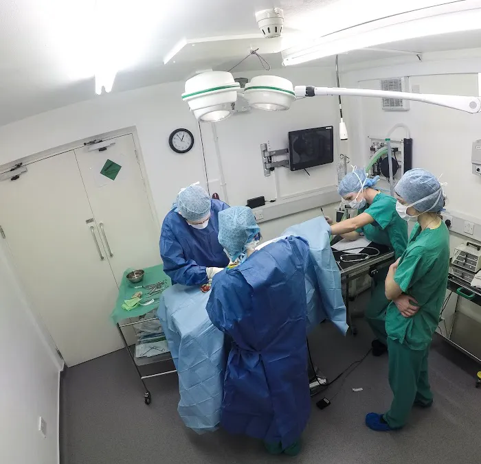 Beechwood Veterinary Hospital - Doncaster Picture 7