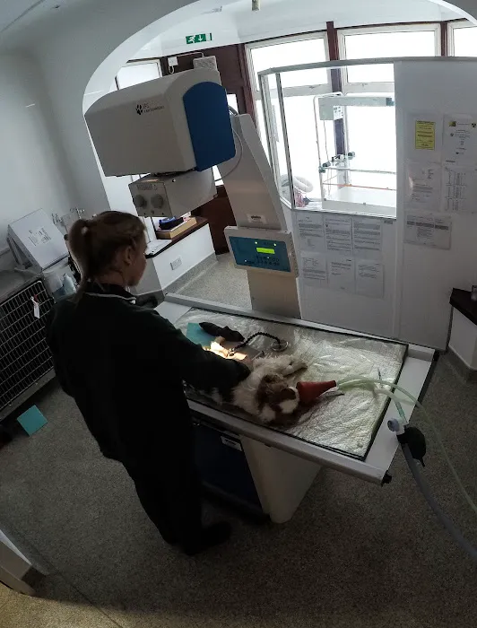Beechwood Veterinary Hospital - Doncaster Picture 2