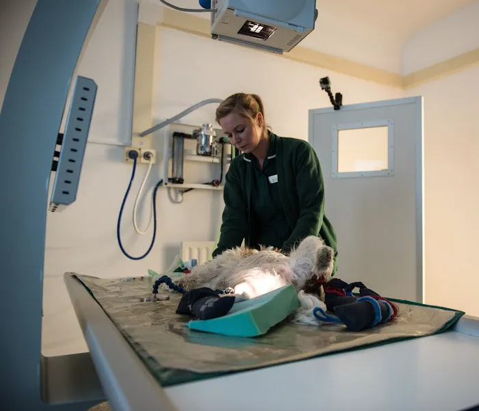 Beechwood Veterinary Hospital - Doncaster Picture 8