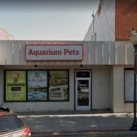 Aquarium Pets ico