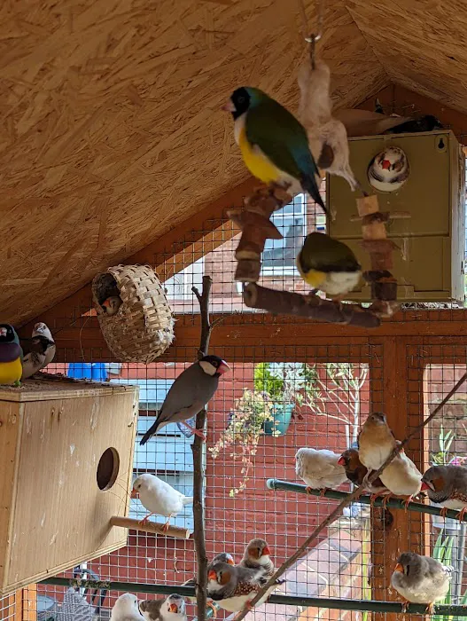 Absolute Pets Picture 4