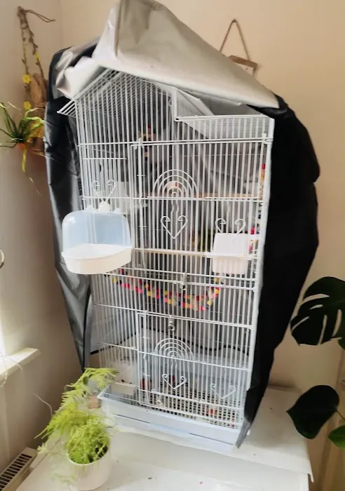 Absolute Pets Picture 7