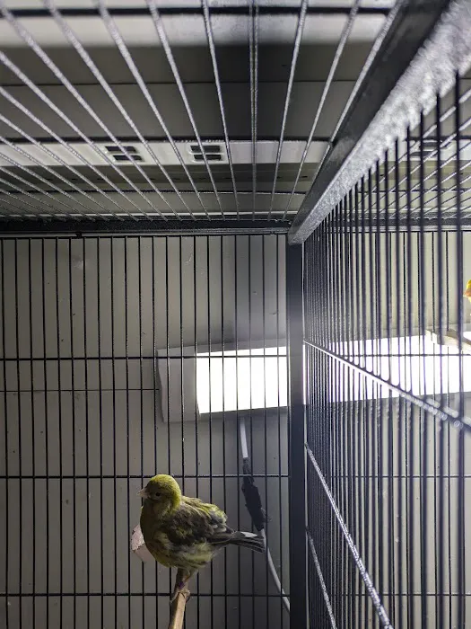 Absolute Pets Picture 2