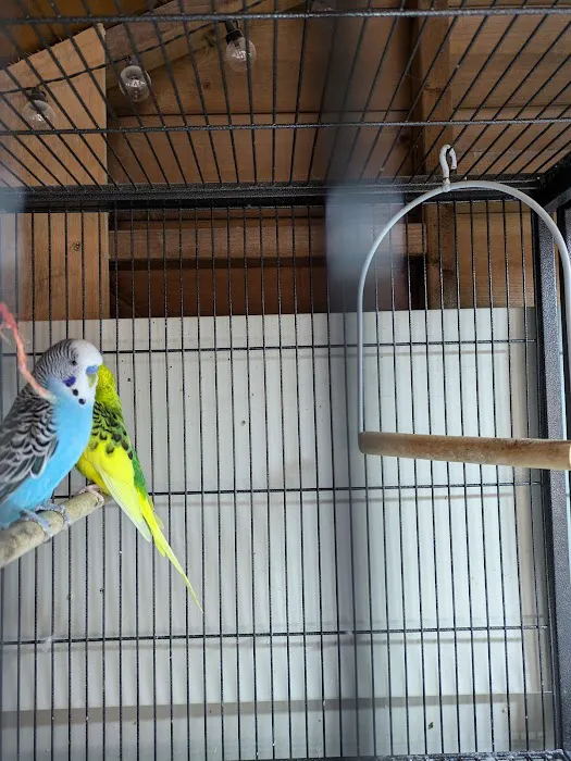 Absolute Pets Picture 5