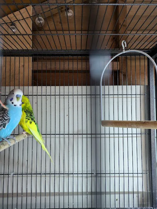 Absolute Pets Picture 3