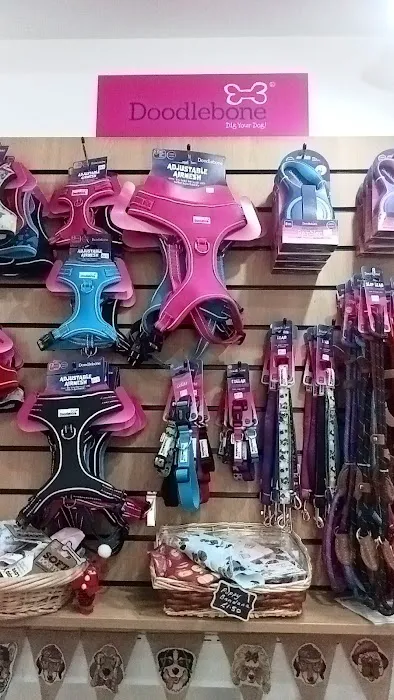 Absolute Pets Picture 1