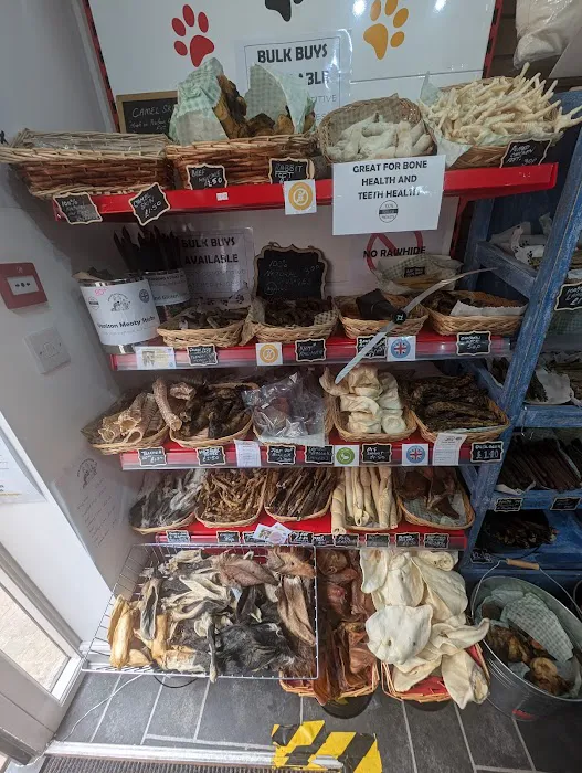 Absolute Pets Picture 8