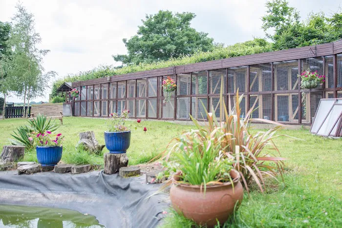 Broadlands Cattery, 5 Rated by WLDC Picture 10