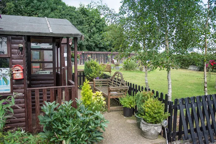 Broadlands Cattery, 5 Rated by WLDC Picture 6