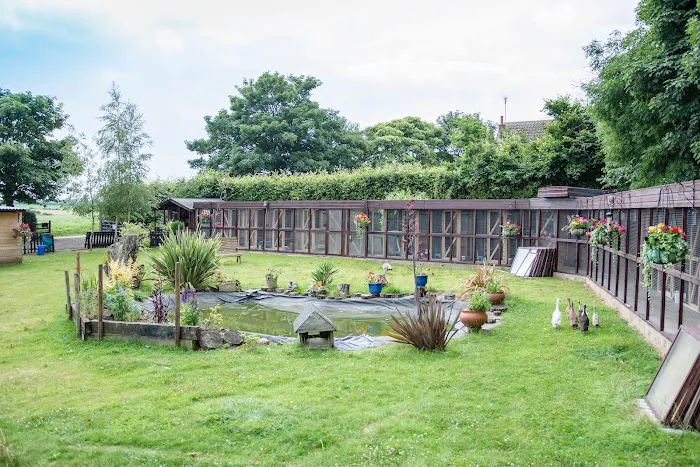Broadlands Cattery, 5 Rated by WLDC Picture 5