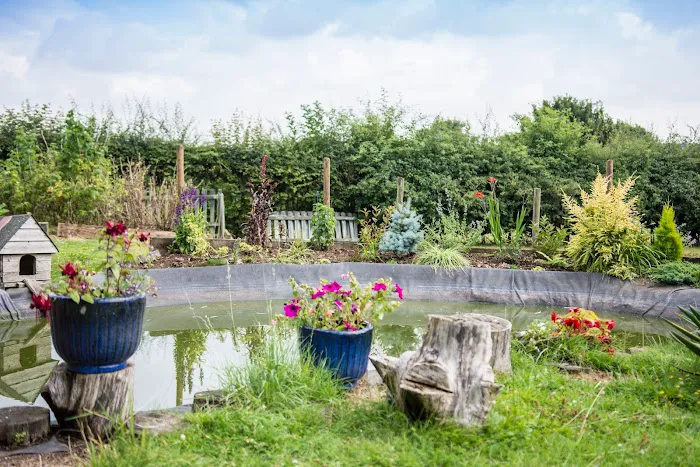Broadlands Cattery, 5 Rated by WLDC Picture 7