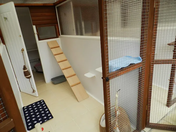 Gordon May's Purrrfect Cattery Picture 7