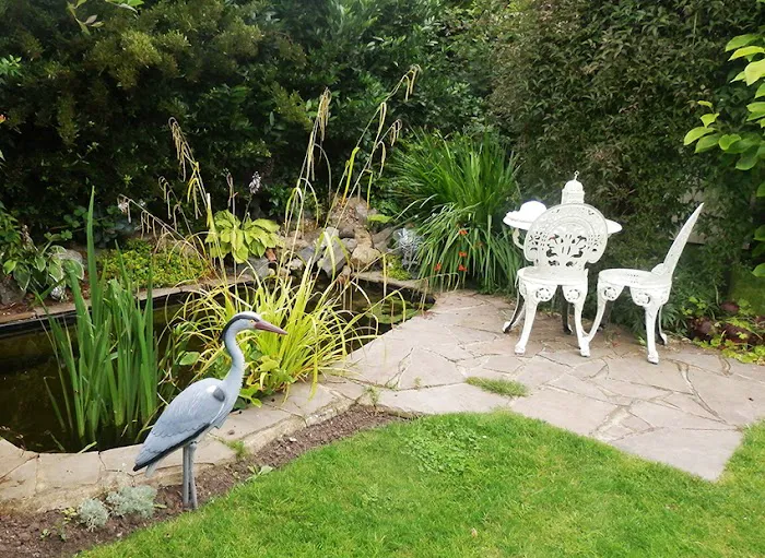 Gordon May's Purrrfect Cattery Picture 3