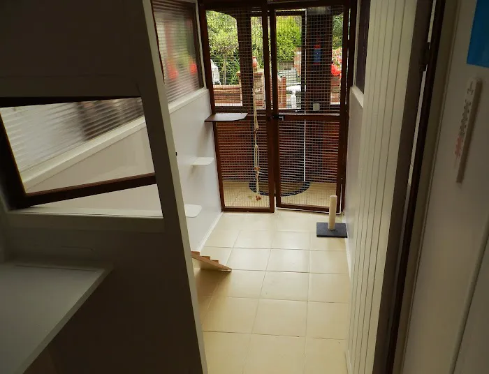 Gordon May's Purrrfect Cattery Picture 10