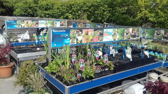 Viscum Water Gardens & Aquatics Picture 4