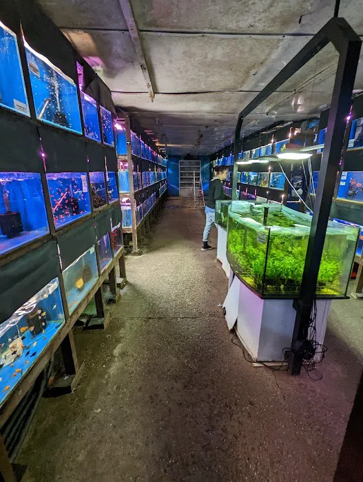 Viscum Water Gardens & Aquatics Picture 7