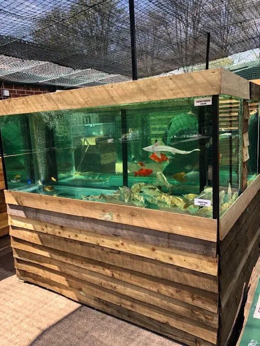 Viscum Water Gardens & Aquatics Picture 1