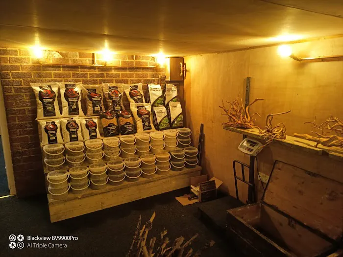 Viscum Water Gardens & Aquatics Picture 9