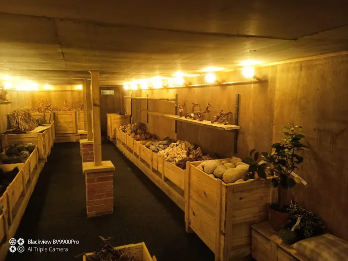 Viscum Water Gardens & Aquatics Picture 8