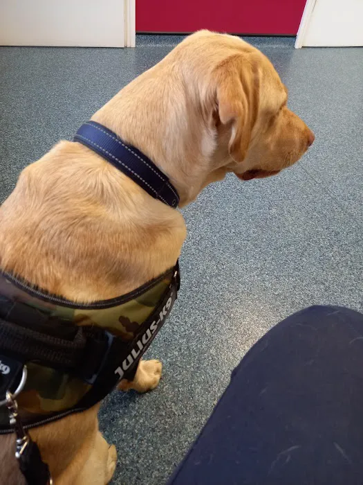 Abbey Vet Centre Picture 2