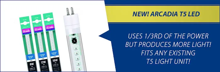 Complete Aquatics Picture 1