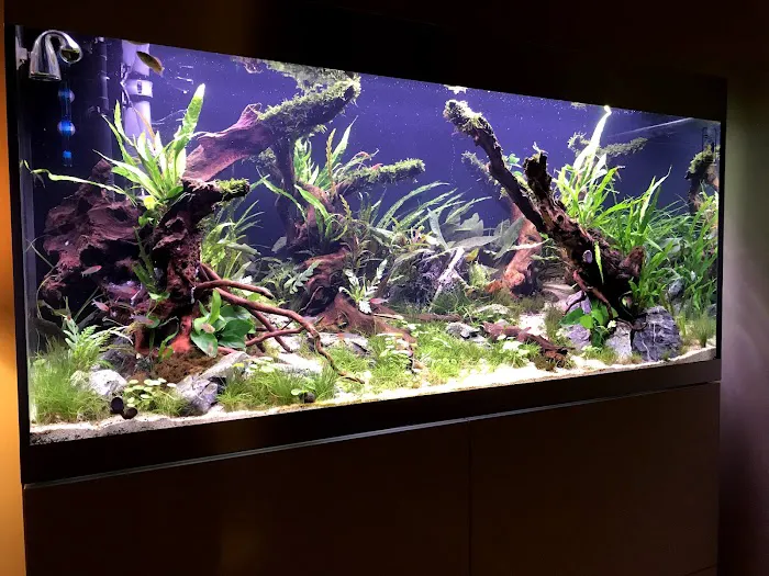 Complete Aquatics Picture 3