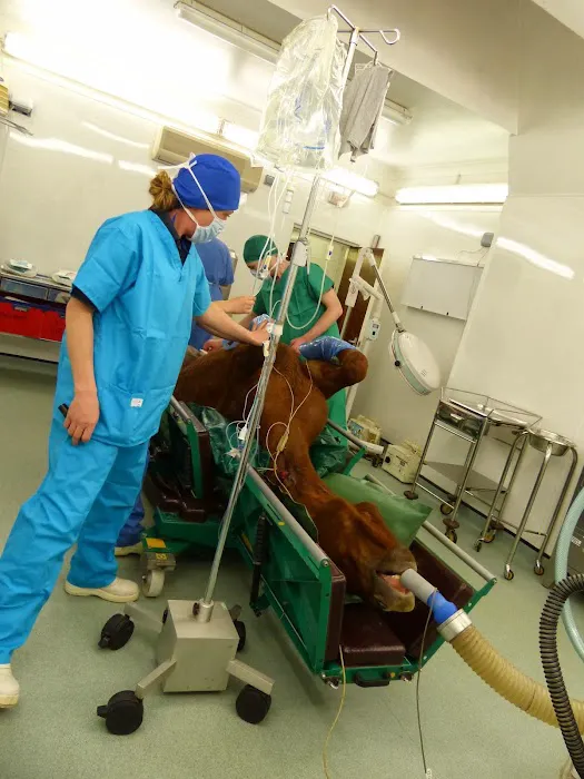 Rase Veterinary Centre - Market Rasen Picture 5