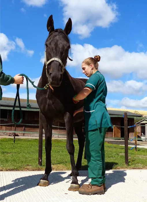 Rase Veterinary Centre - Market Rasen Picture 2