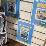 Vets4Pets - Belfast