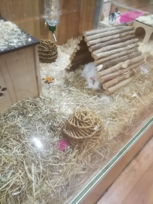 Pets at Home Cardiff Newport Rd Picture 9