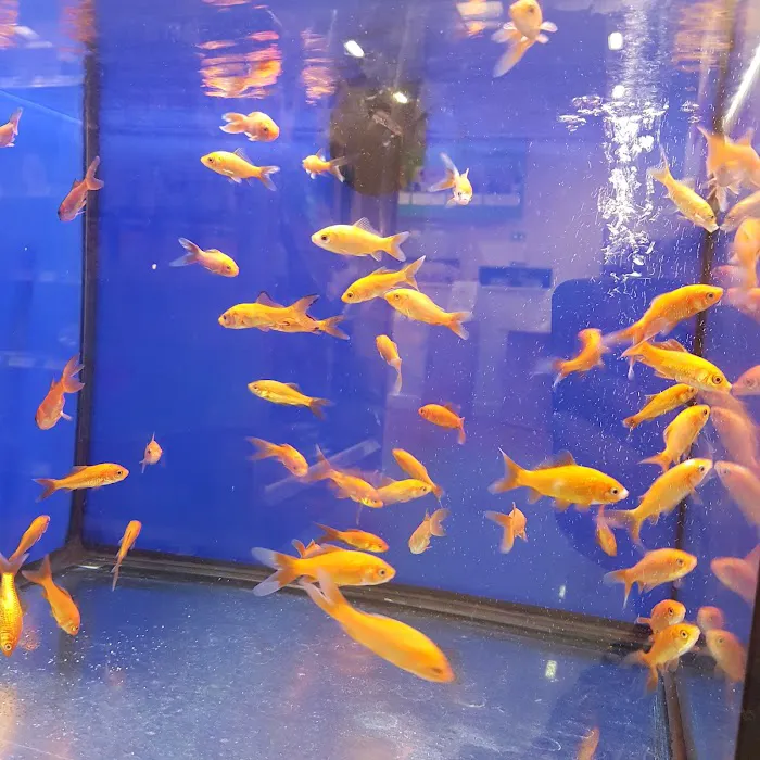 Pets at Home Cardiff Newport Rd Picture 6