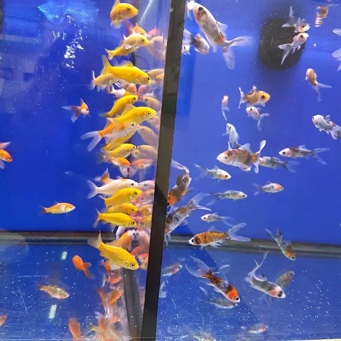 Pets at Home Cardiff Newport Rd Picture 2