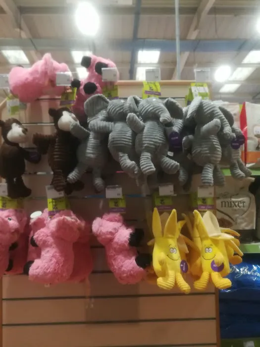 Pets at Home Cardiff Newport Rd Picture 5