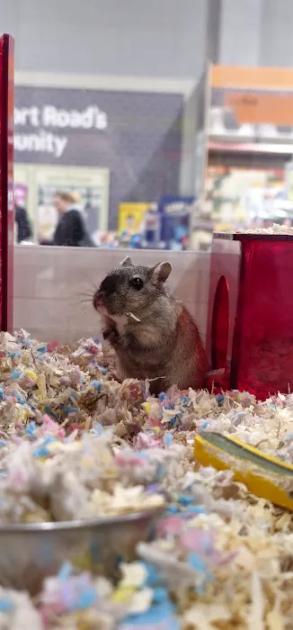 Pets at Home Cardiff Newport Rd Picture 3