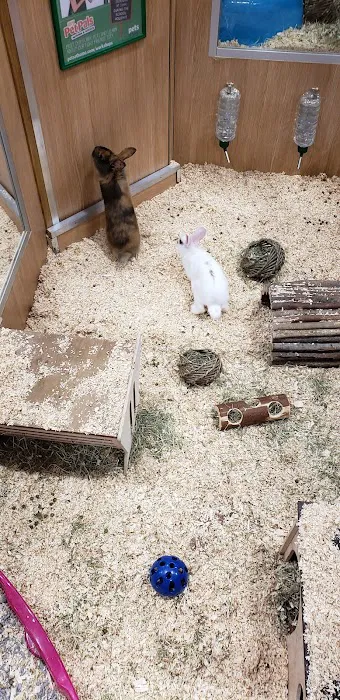 Pets at Home Cardiff Newport Rd Picture 1