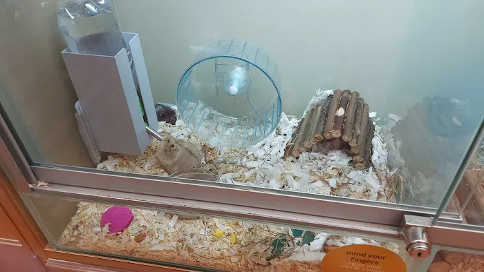 Pets at Home Cardiff Newport Rd Picture 10