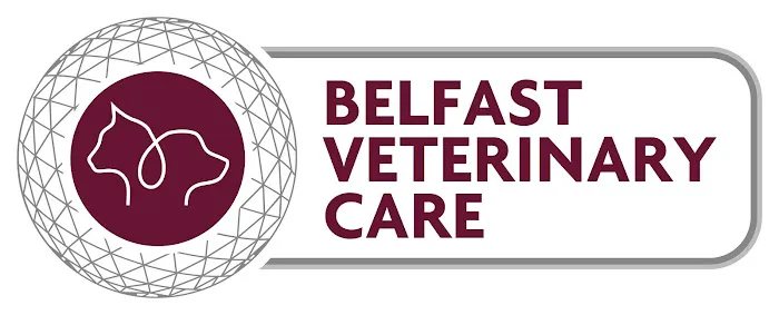 Belfast Veterinary Care Picture 1
