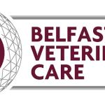 Belfast Veterinary Care