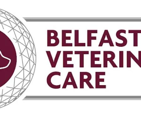 Belfast Veterinary Care